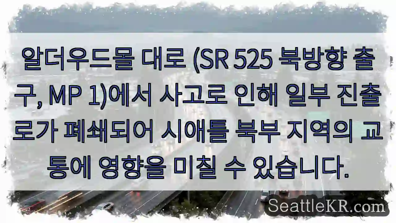 알더우드몰 교통 정체 주의