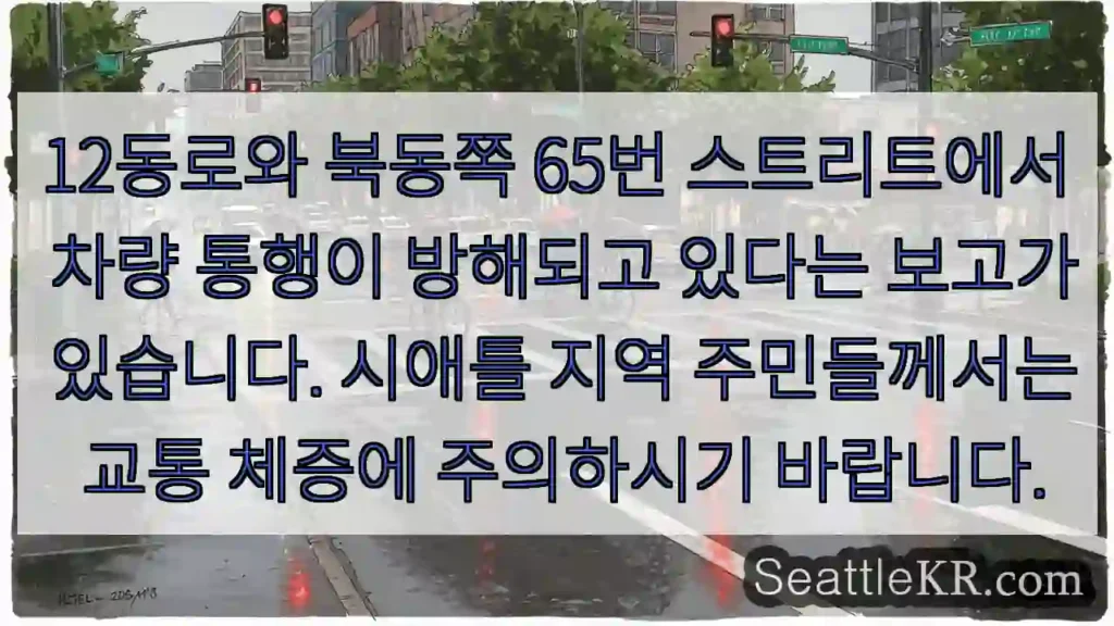 교통통제! 12동로 & 65번 스트리트