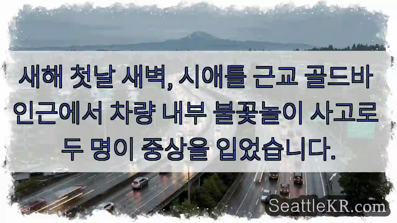 차량 불꽃놀이 사고