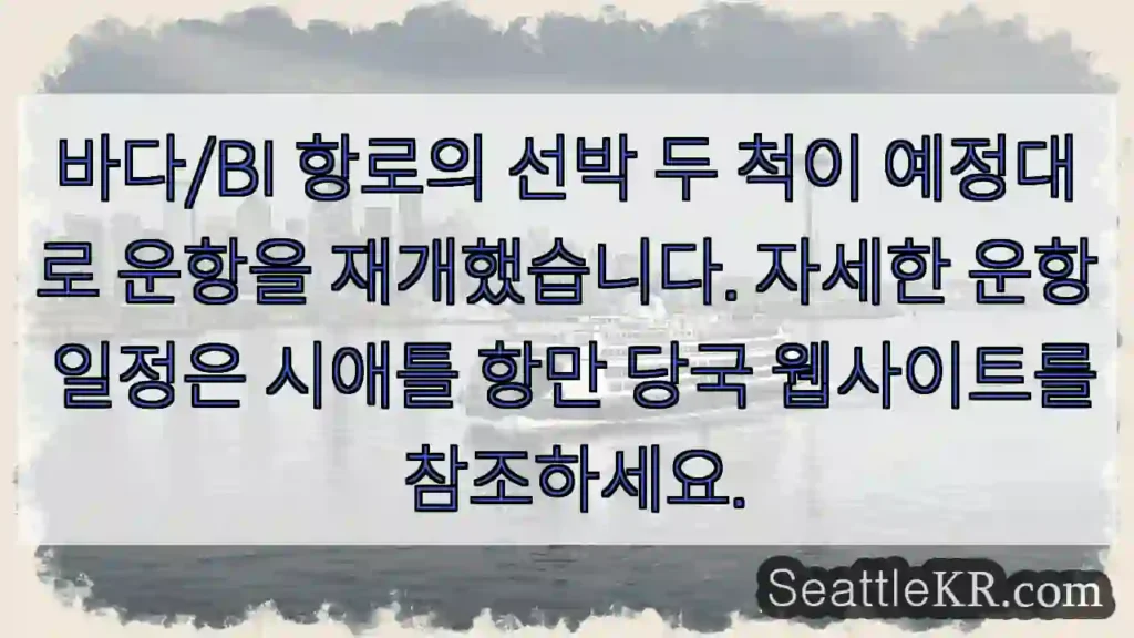 운항 재개! 바다/BI 항로
