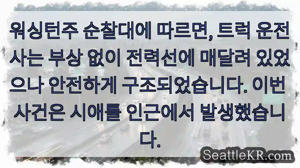 전력선 구조 성공!