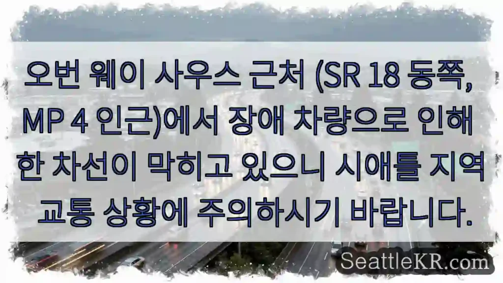 오번웨이 혼잡! 주의 필요