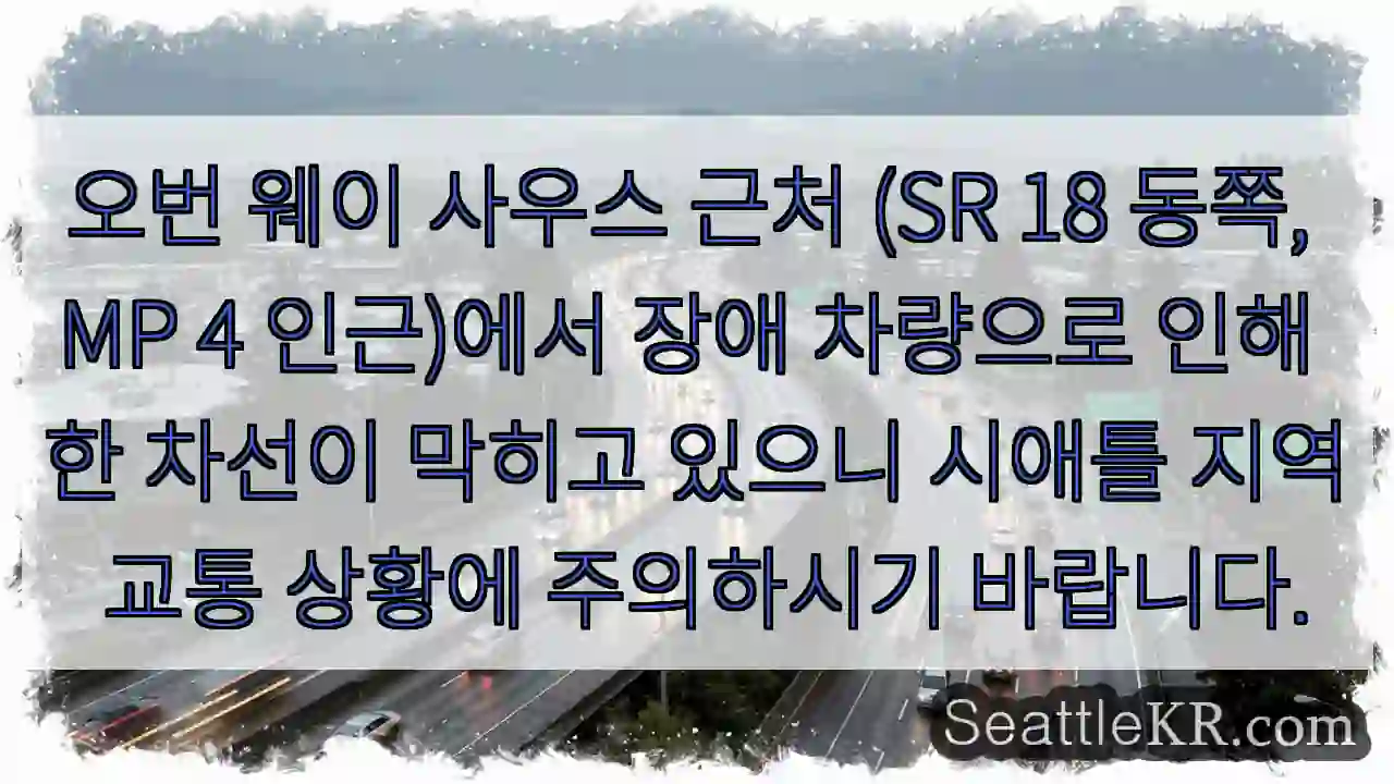 오번웨이 혼잡! 주의 필요