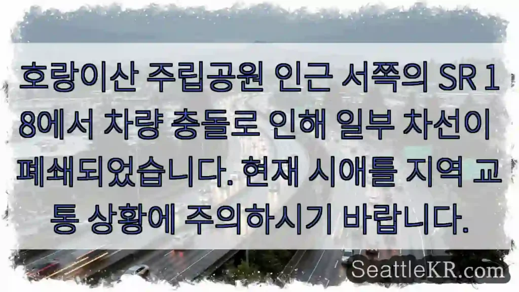 호랑이산 도로 사고! 차선 폐쇄!