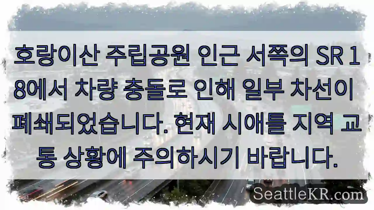 호랑이산 도로 사고! 차선 폐쇄!