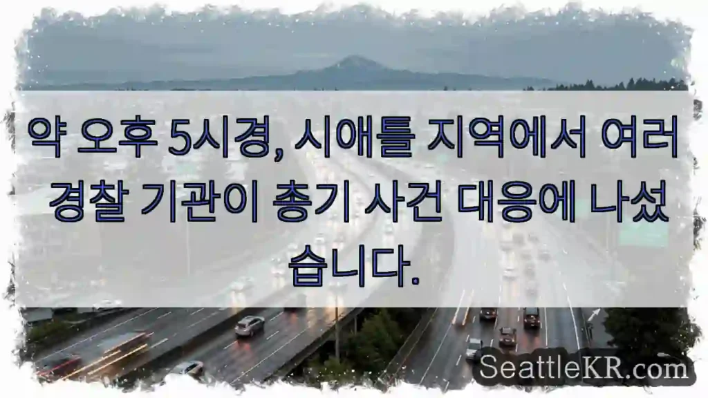 총기 사건 대응 중