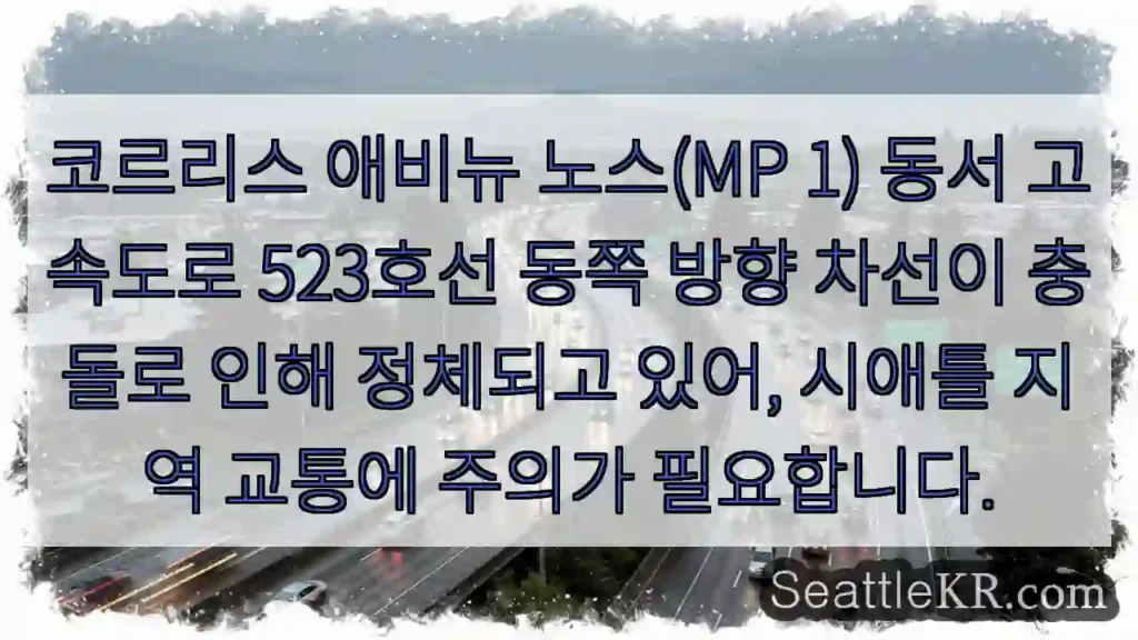 코르리스 충돌 정체!