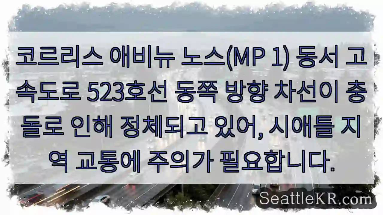 코르리스 충돌 정체!