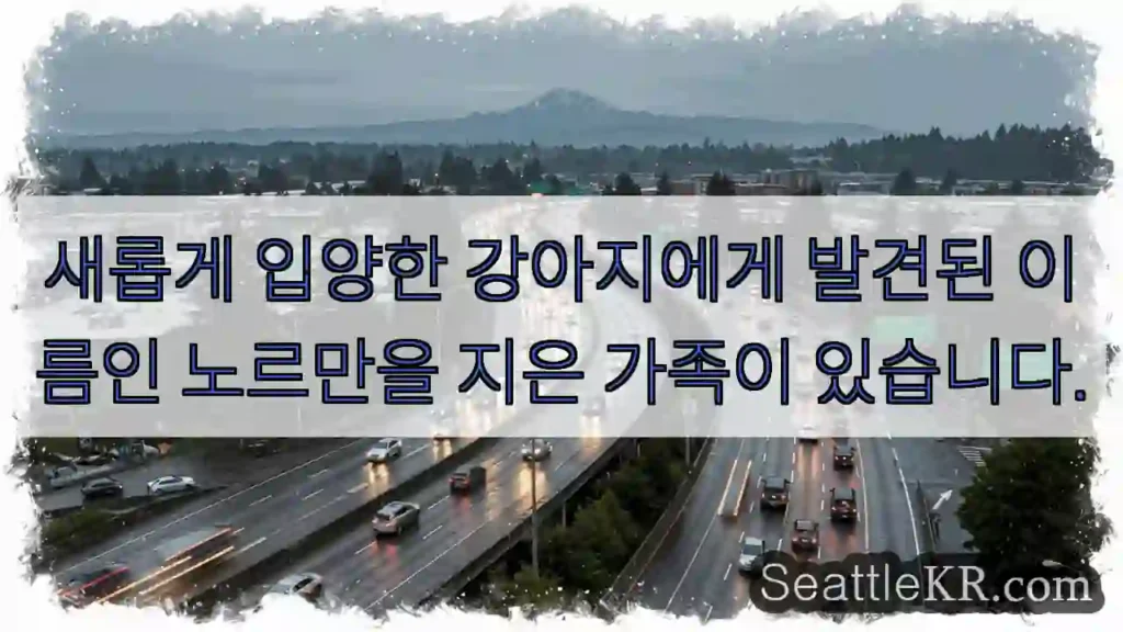 새로운 가족의 든든한 친구 '노르망'