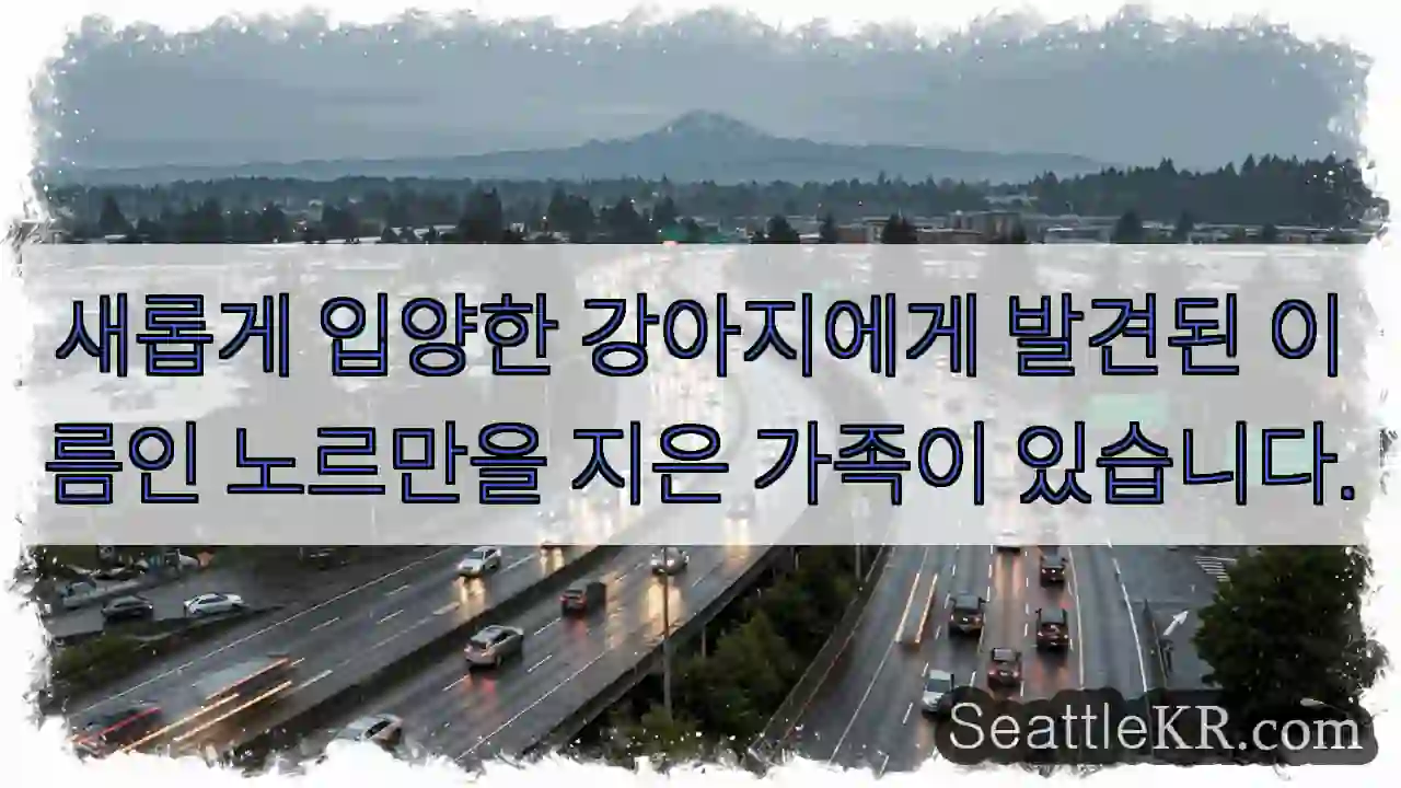 새로운 가족의 든든한 친구 '노르망'