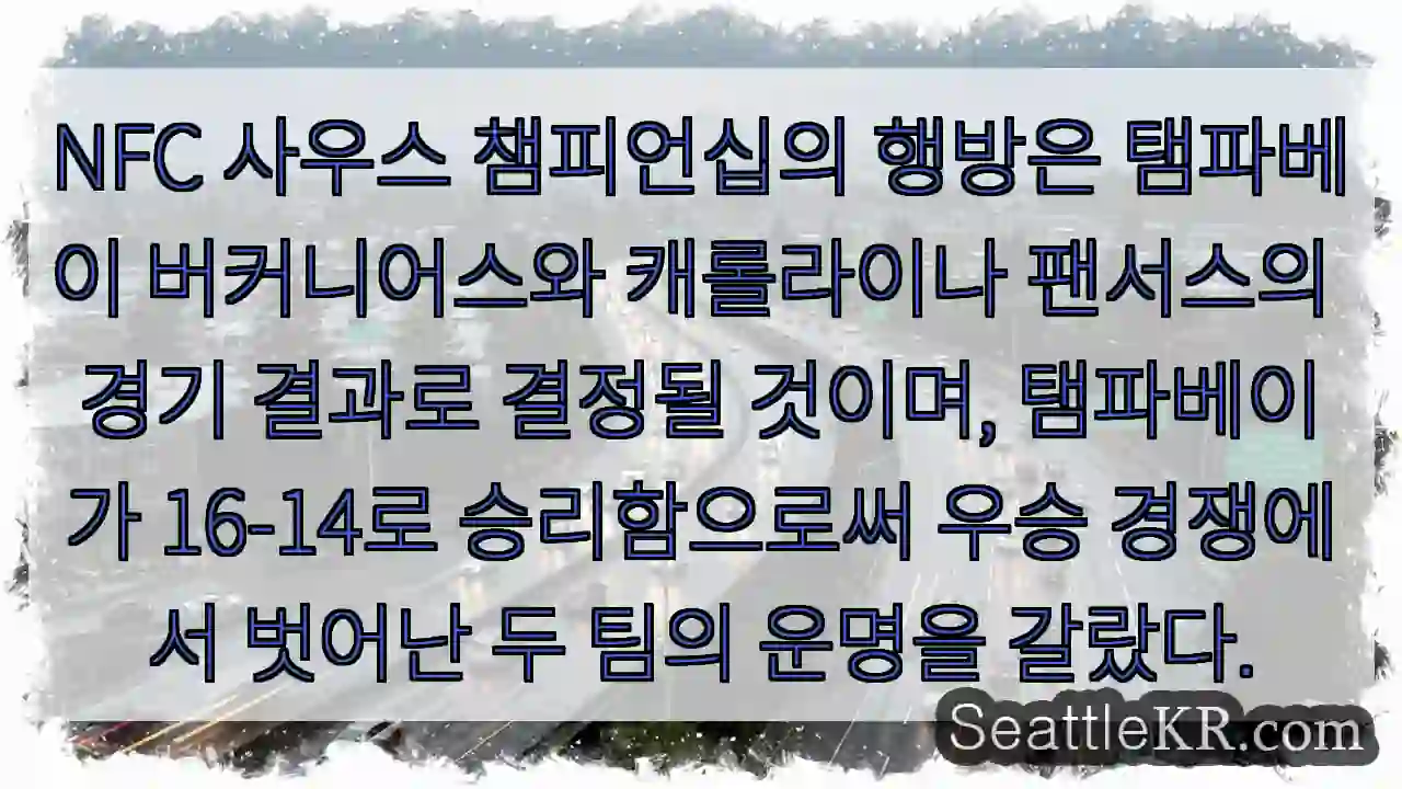 탠파베이, 우승 문턱!