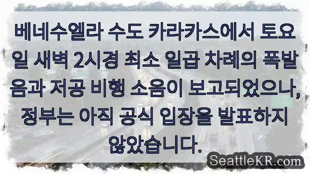 카라카스 밤 폭발음