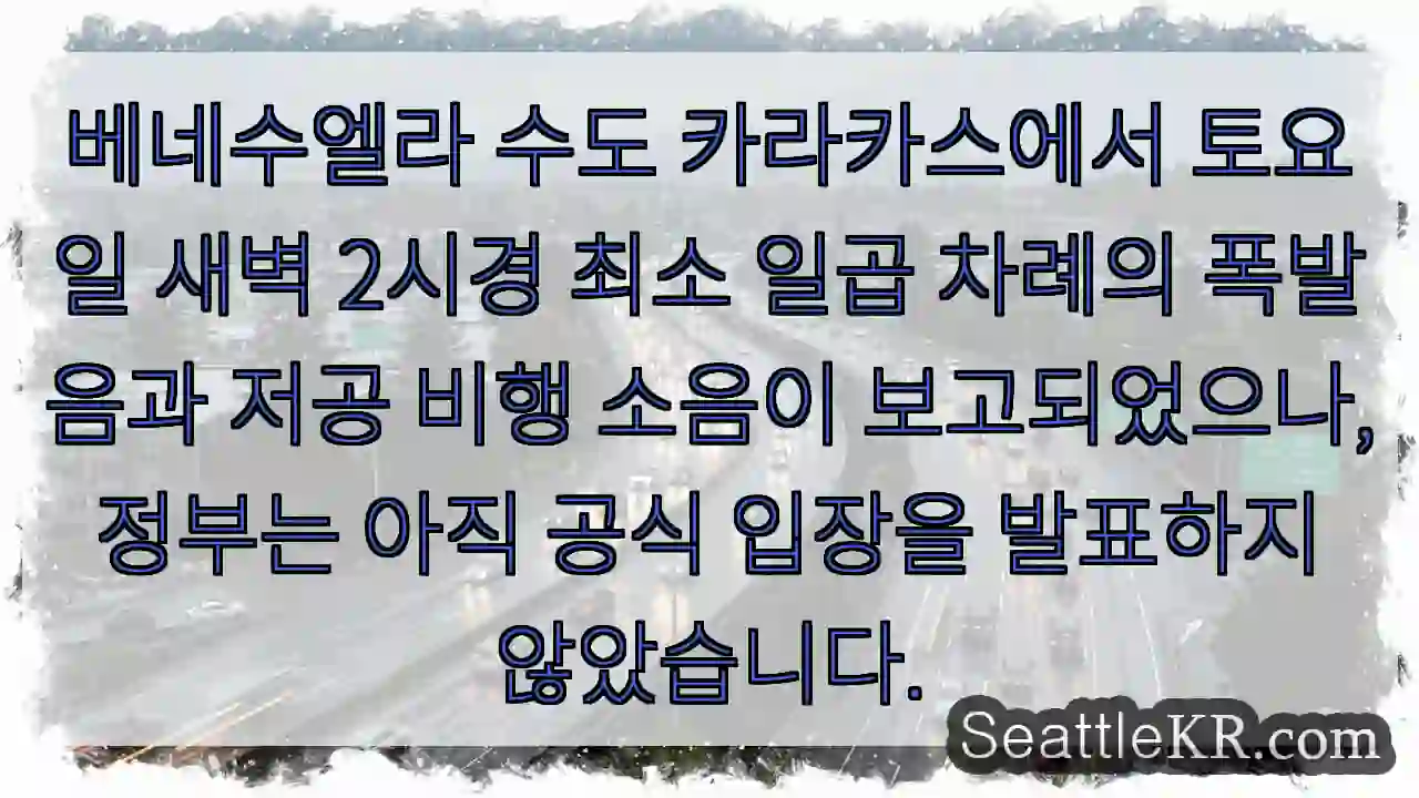 카라카스 밤 폭발음