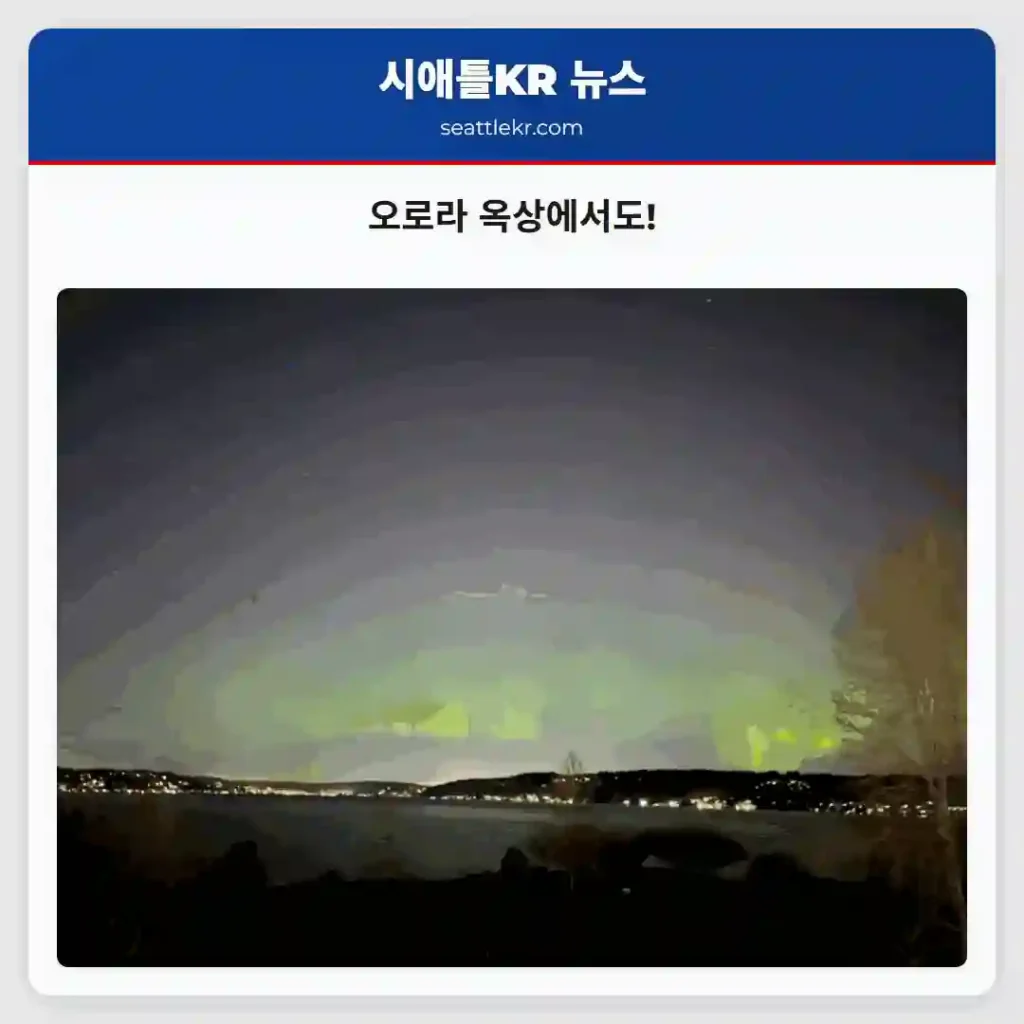 오로라 옥상에서도!