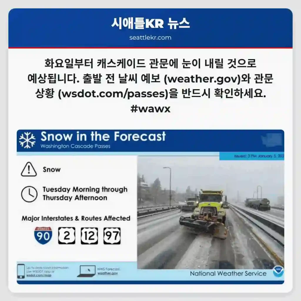 눈 소식! 출발 전 확인 필수