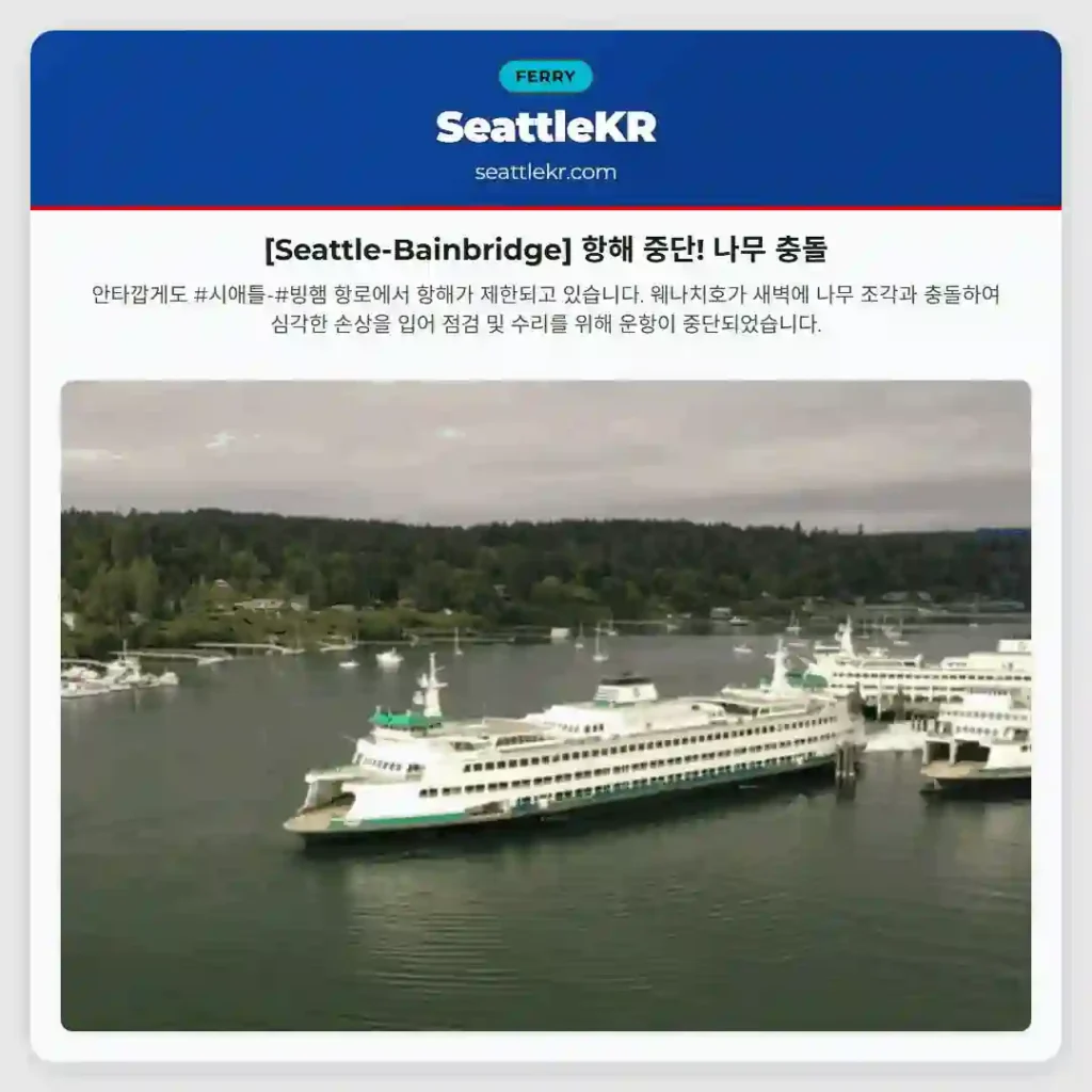 [Seattle-Bainbridge] 항해 중단! 나무 충돌