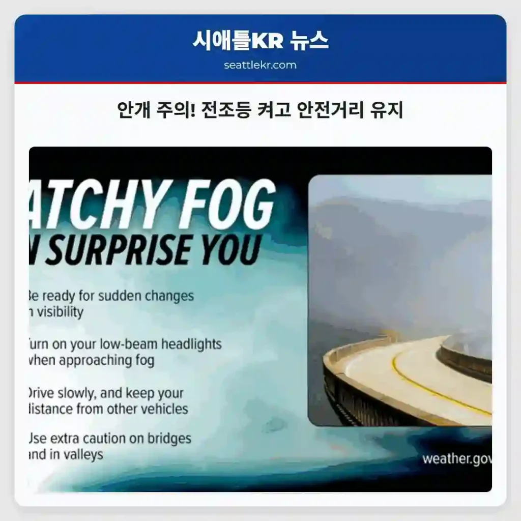 안개 주의! 전조등 켜고 안전거리 유지