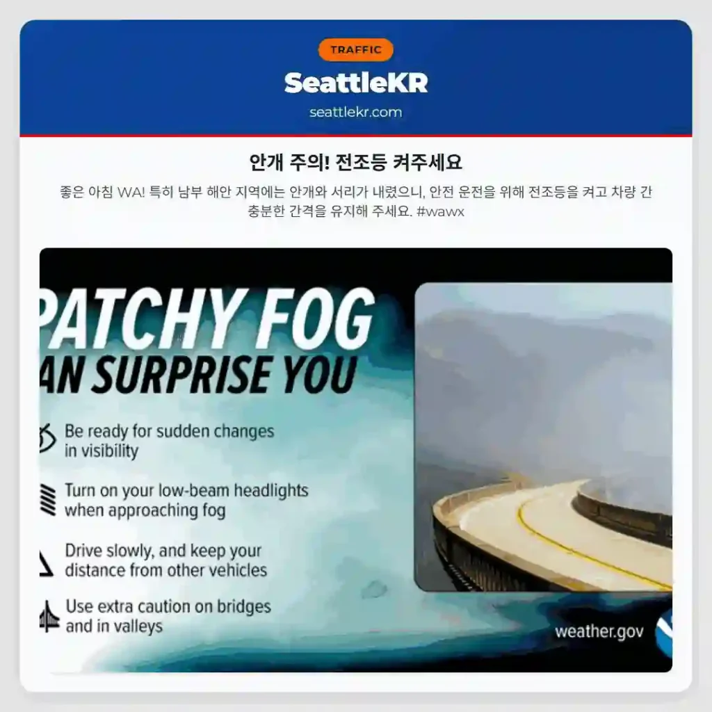 안개 주의! 전조등 켜주세요