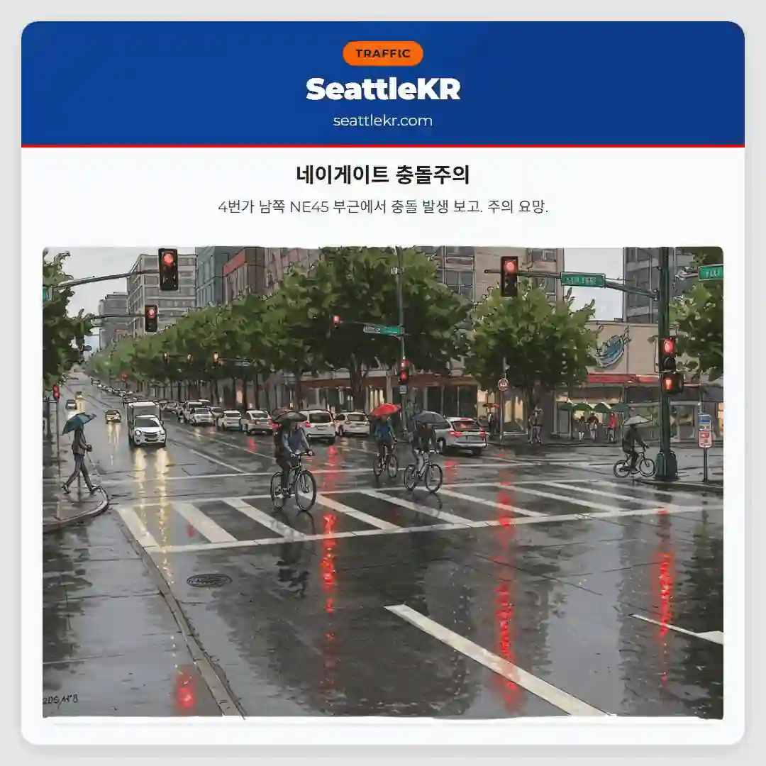 네이게이트 충돌주의