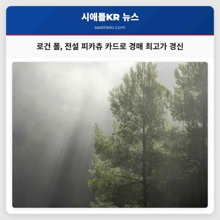 로건 폴 전설의 피카츄 카드로 포켓몬 카드 경매 최고가 경신