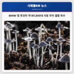 회수 경보 BMW 및 토요타 차량 약 87300대 시동 모터 결함 회수