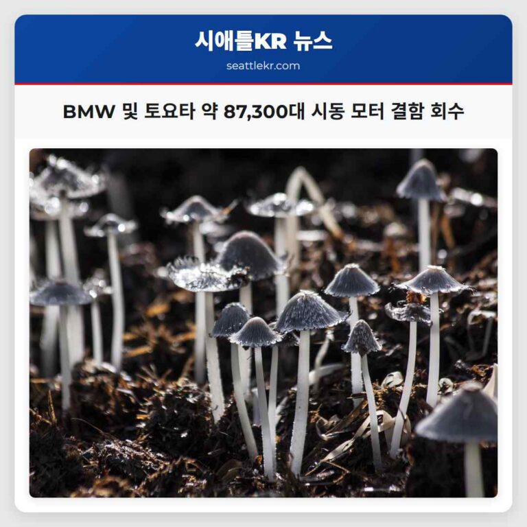 회수 경보 BMW 및 토요타 차량 약 87300대 시동 모터 결함 회수