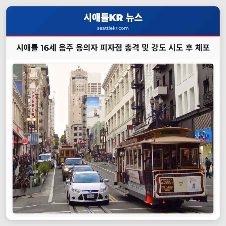 시애틀 캐피톨 힐 야간 사건 음주 16세 소년 피자점 총격 및 차량 강도 시도 후 체포