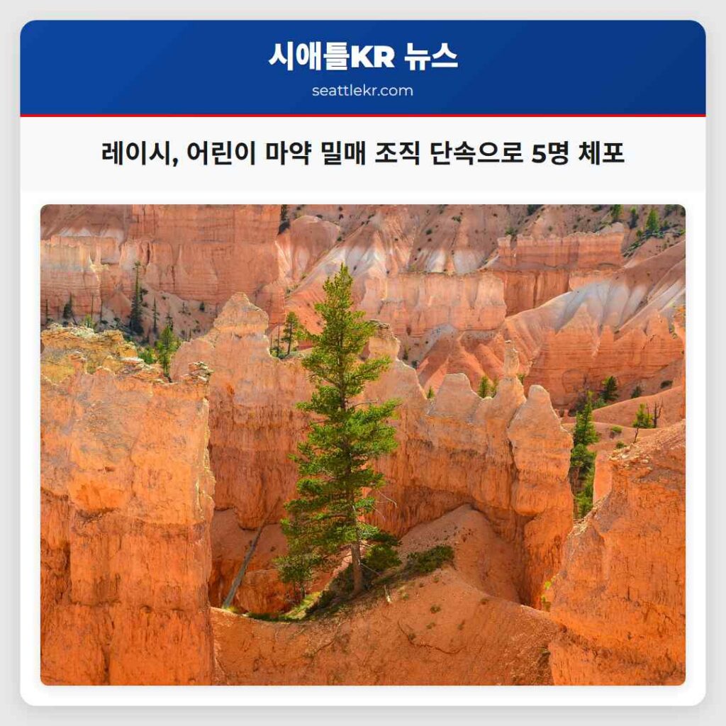 레이시, 어린이 마약 밀매 조직 단속으로 5명 체포