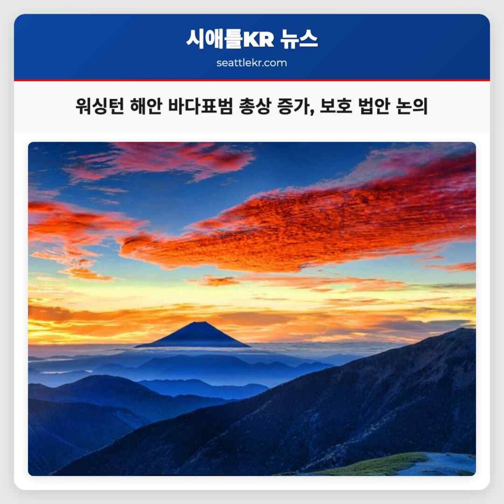 워싱턴 해안 바다표범 총상 증가, 보호 법안 논의