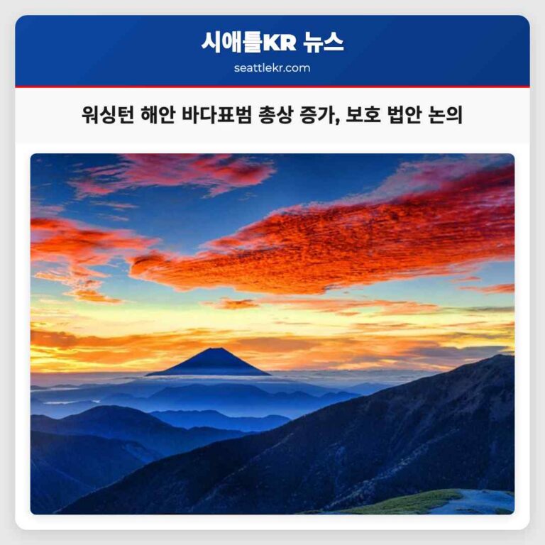 워싱턴 해안 바다표범 총상 사례 증가 보호 법안 논의 본격화