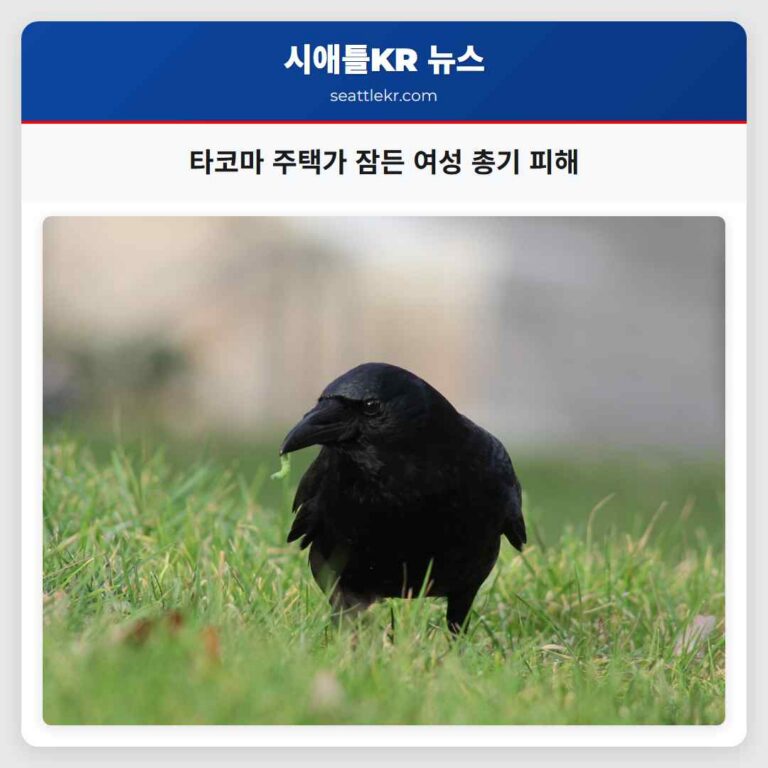 타코마 주택가 총기 사고 잠든 여성 피해 발생