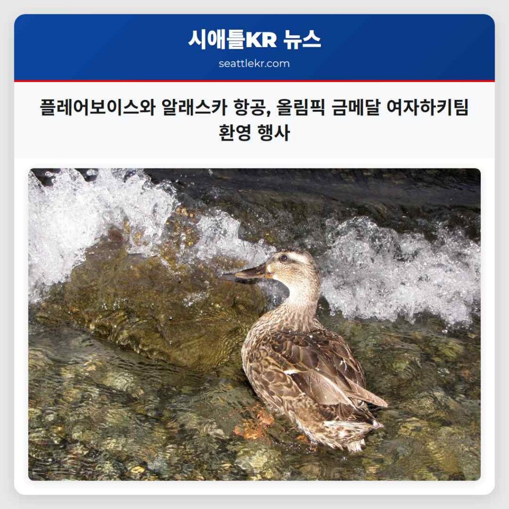 플레어보이스와 알래스카 항공, 올림픽 금메달 여자하키팀 환영 행사