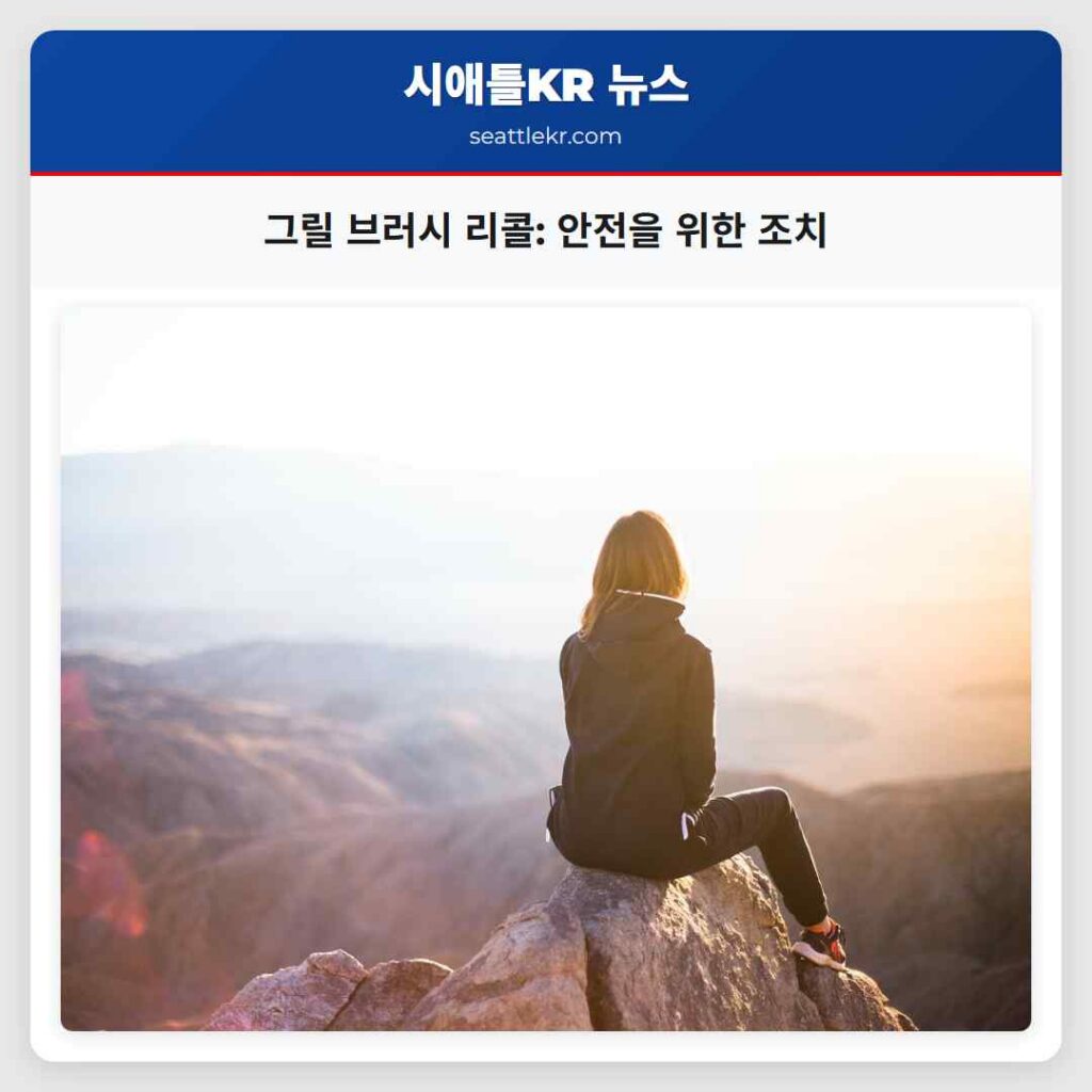 그릴 브러시 리콜: 안전을 위한 조치