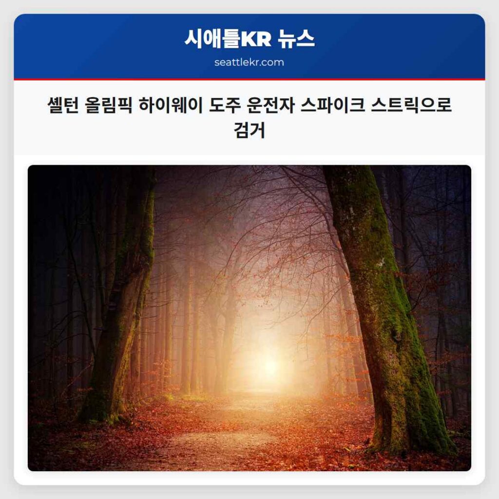 셸턴 올림픽 하이웨이 도주 운전자 스파이크 스트릭으로 검거