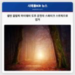 셸턴 올림픽 하이웨이서 스파이크 스트릭 및 PIT 기동으로 도주 운전자 검거