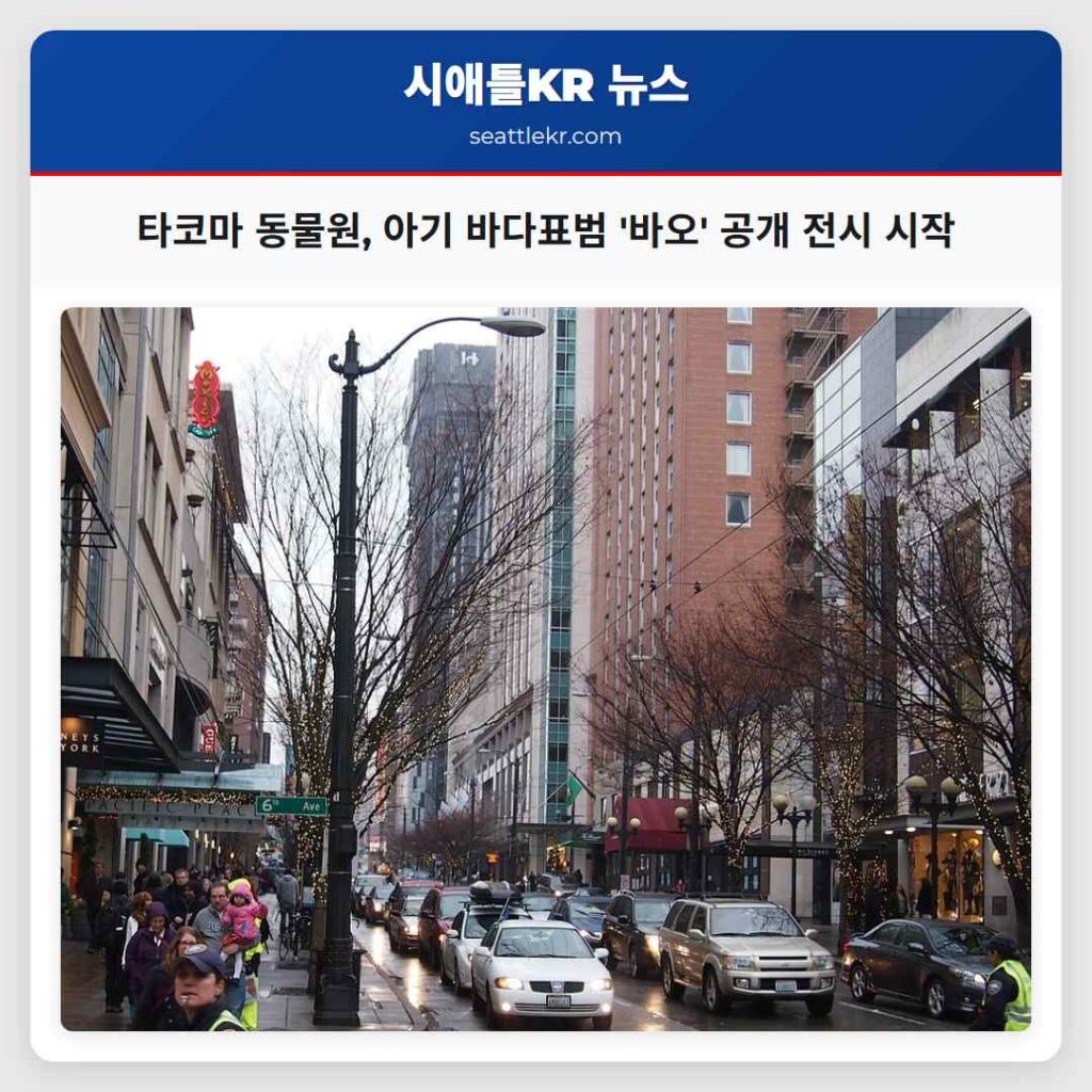 타코마 동물원, 아기 바다표범 '바오' 공개 전시 시작