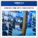 시애틀 슈퍼볼 앞두고 5만 달러 상당 시호크스 기념품 도난