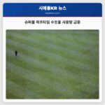 슈퍼볼 하프타임 배드 버니 공연 후 시애틀 수돗물 사용량 급증