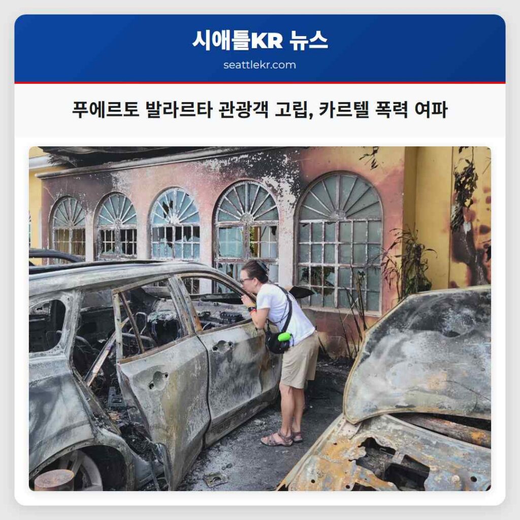 푸에르토 발라르타 관광객 고립, 카르텔 폭력 여파