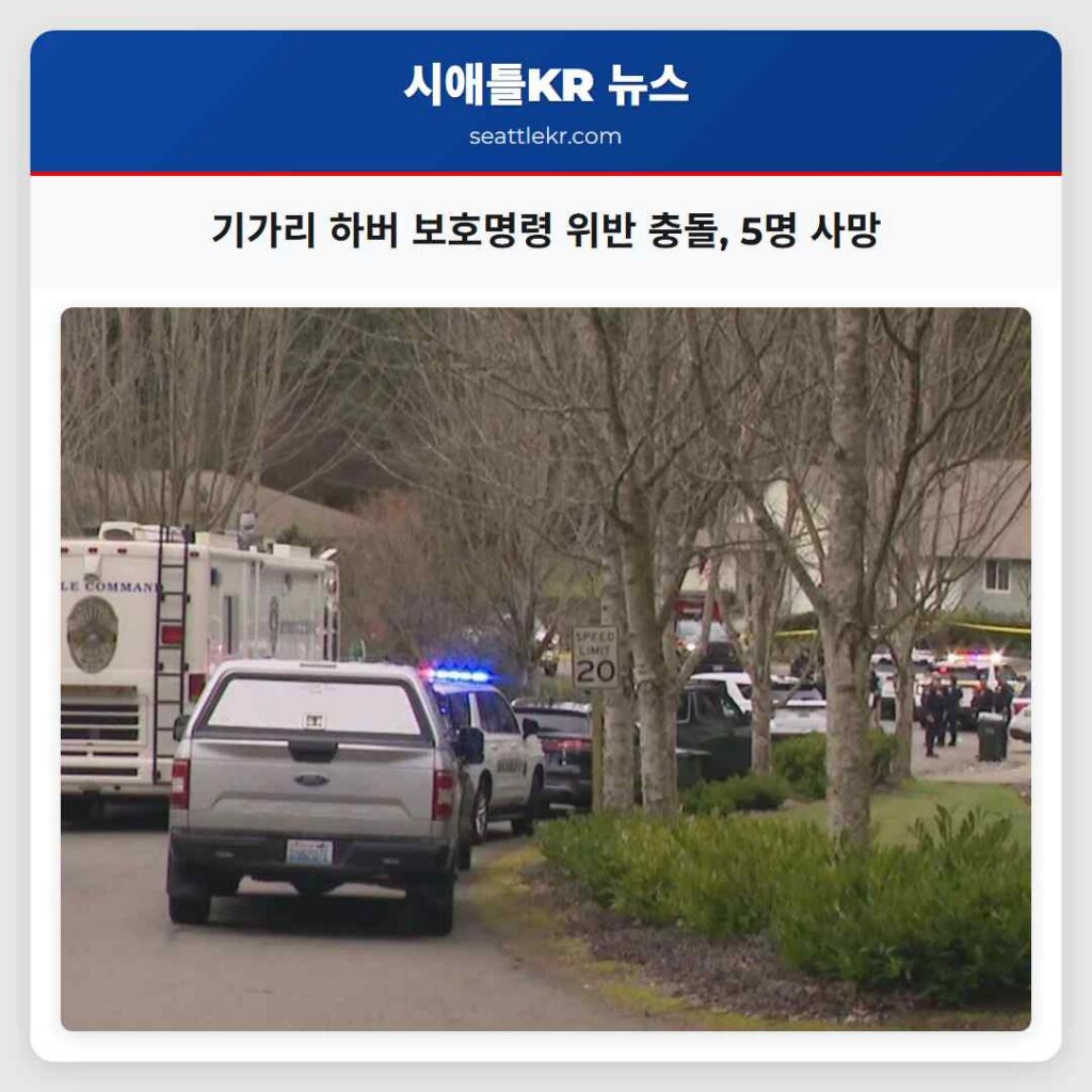 기가리 하버 보호명령 위반 충돌, 5명 사망