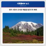 켄트 시청사 군사용 폭발물 발견으로 일시 폐쇄 조치