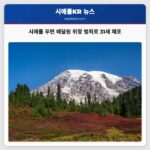 시애틀 우편 배달원 위장 범죄 31세 남성 체포