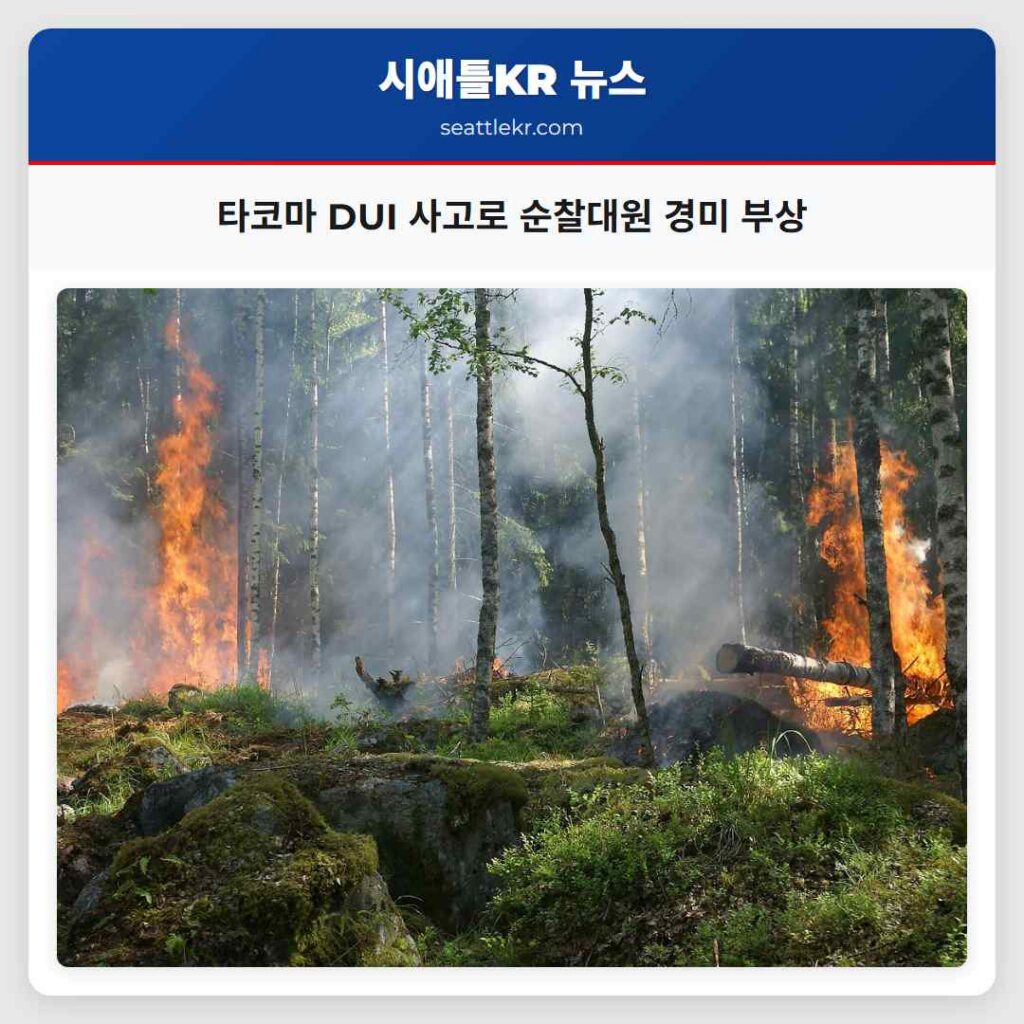 타코마 DUI 사고로 순찰대원 경미 부상