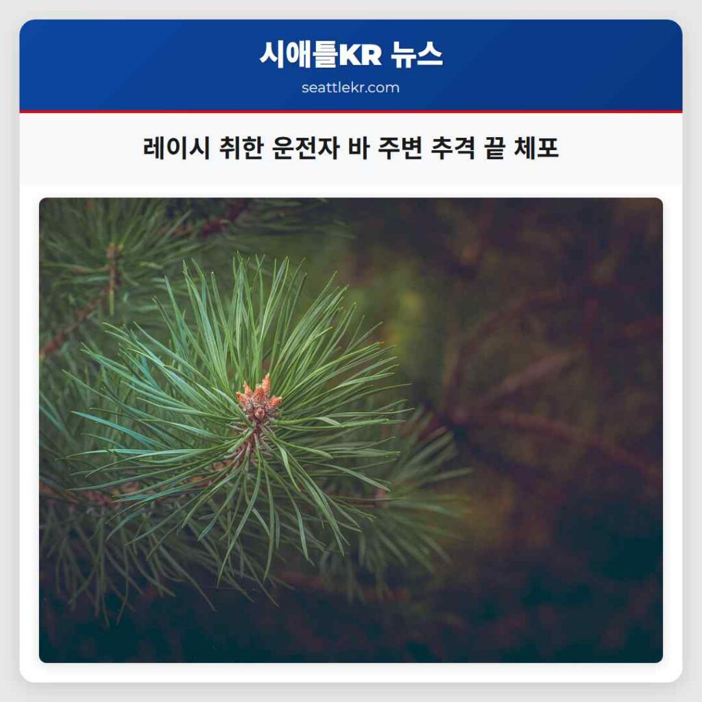 레이시 취한 운전자 바 주변 추격 끝 체포