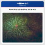 레이시 밤 취한 운전자 바 주변 추격 끝 체포