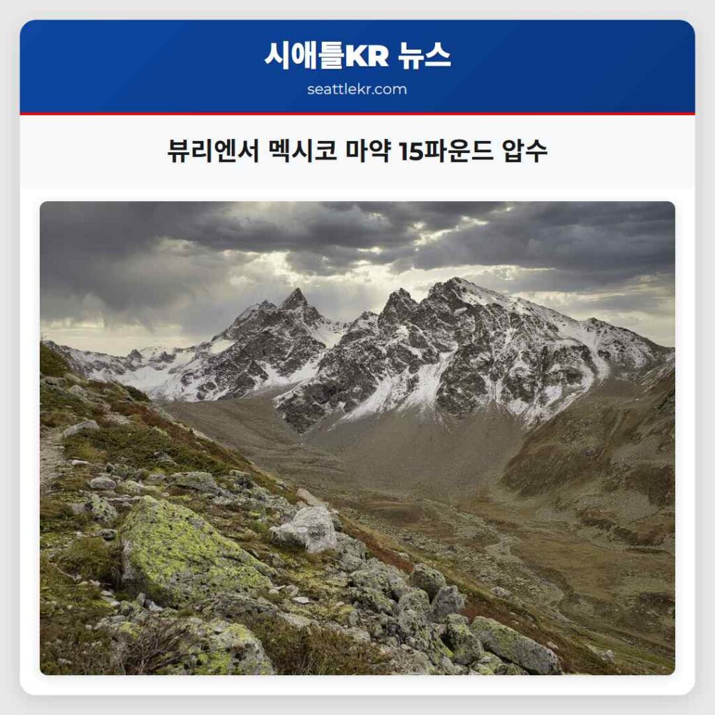 뷰리엔서 멕시코 마약 15파운드 압수