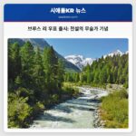 브루스 리 영원히 기리는 우표 출시 무술과 영화의 전설을 빛내다