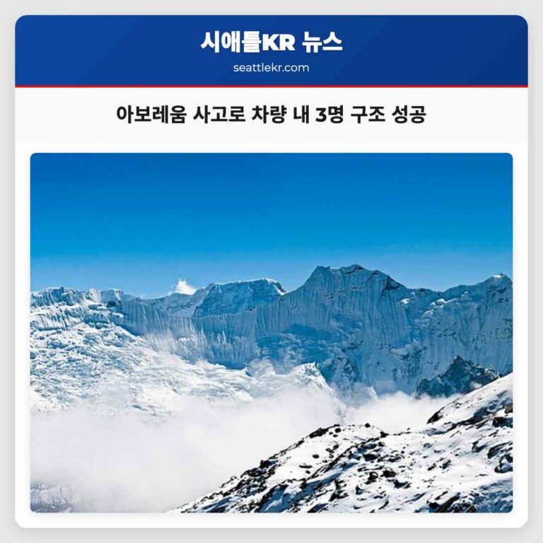 시애틀 소방대 아보레움 인근 교통사고로 차량 구덩이 갇힌 3명 성공적 구조