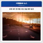 유명 셰프 앤 버렐 사망 사건 침실에서 자살 의도 증거 발견