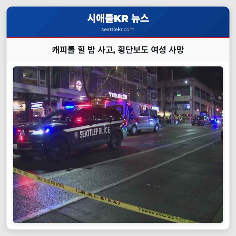 시애틀 캐피톨 힐 밤 사고 횡단보도 건너던 여성 안타깝게 사망
